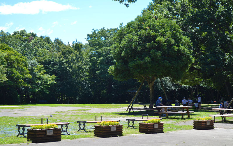 清水町　湧水公園